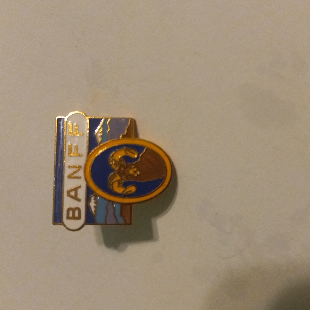 Pin